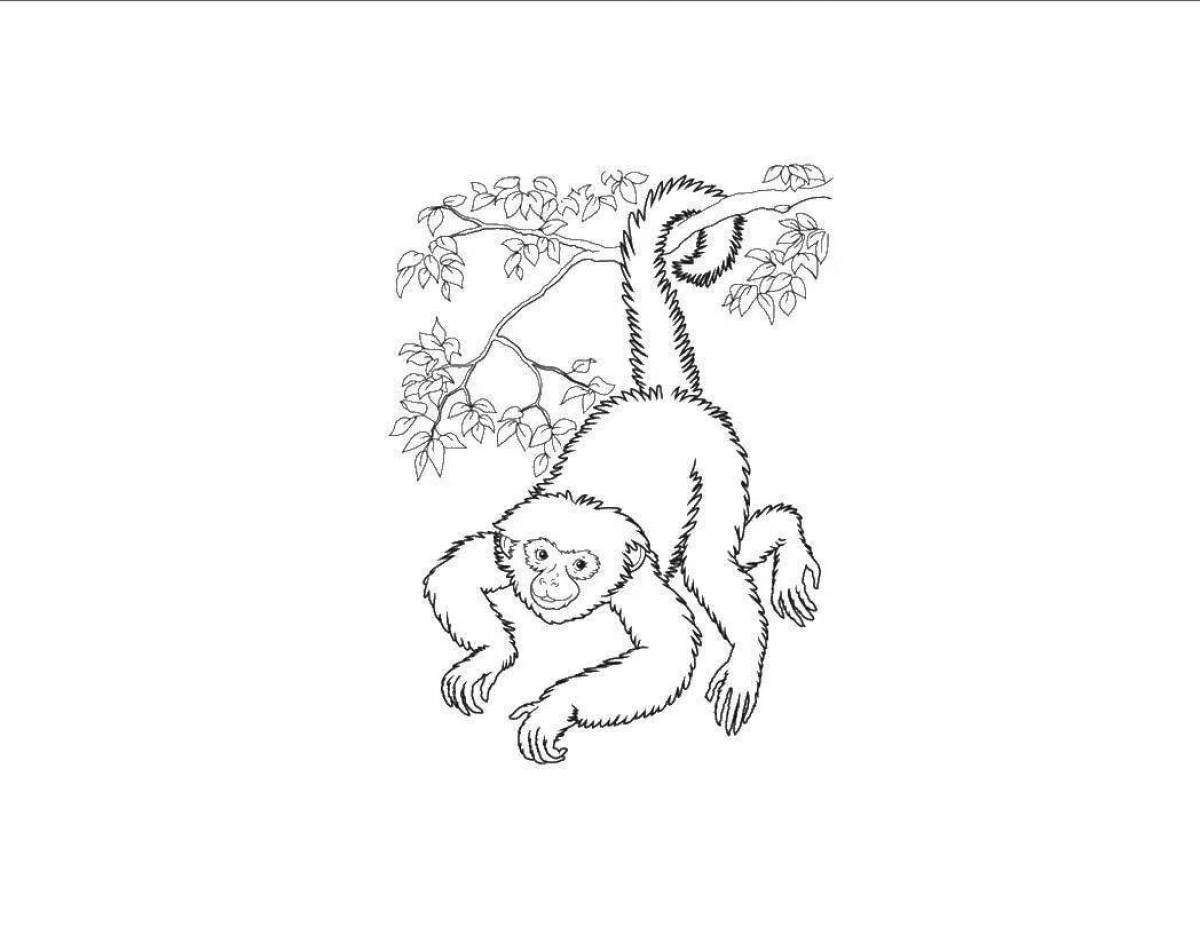 Exciting coloring monkey zhitkov