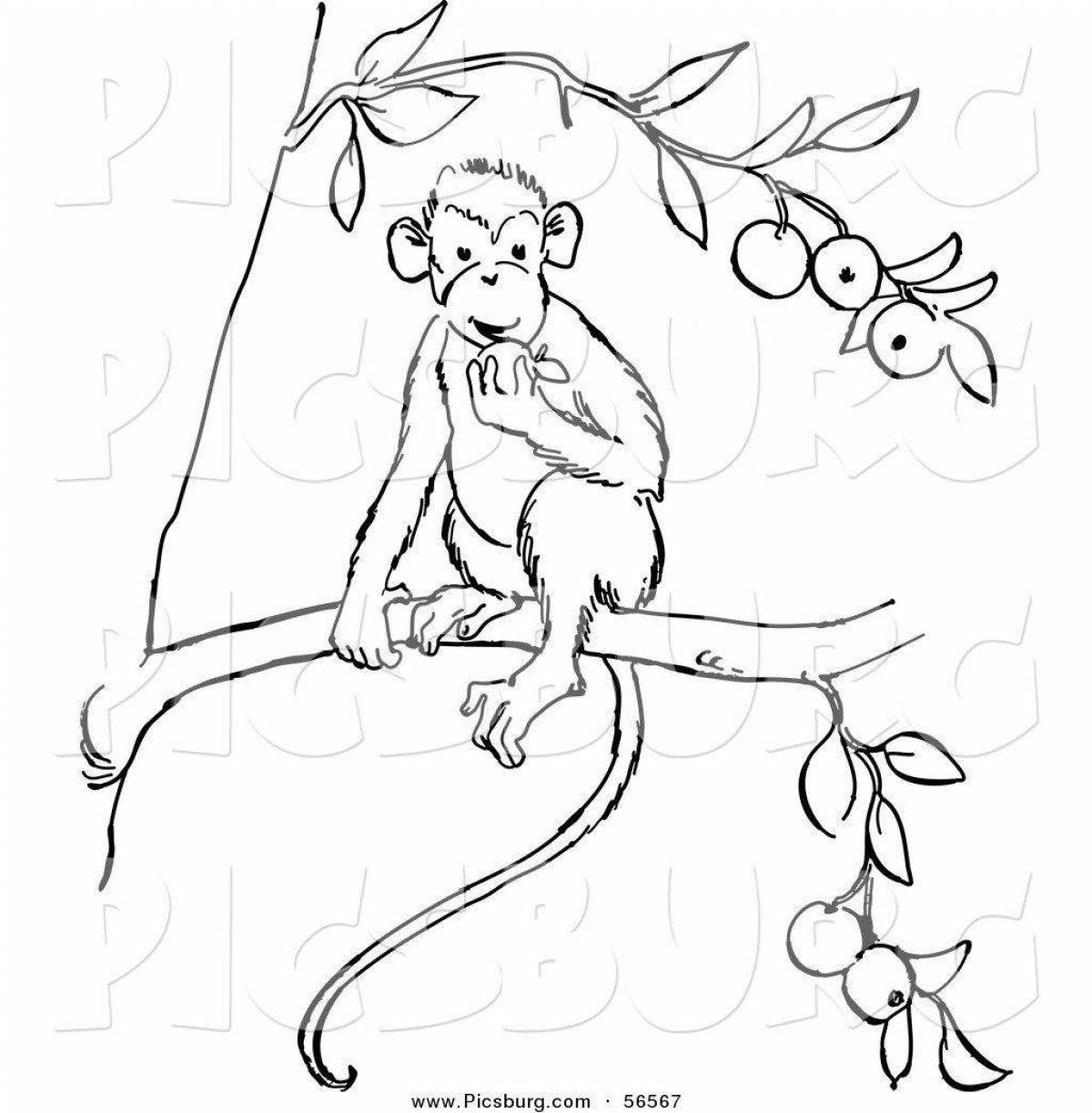 Очаровательная обезьянка житков раскраска