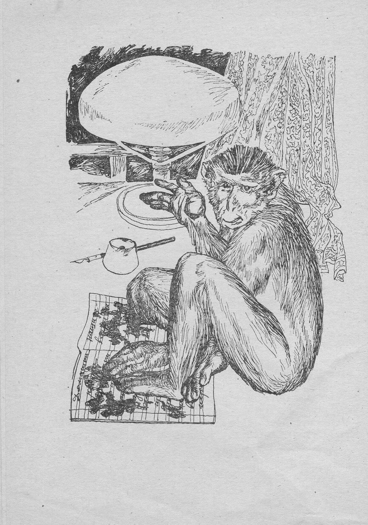 Coloring book gorgeous zhitkov monkey