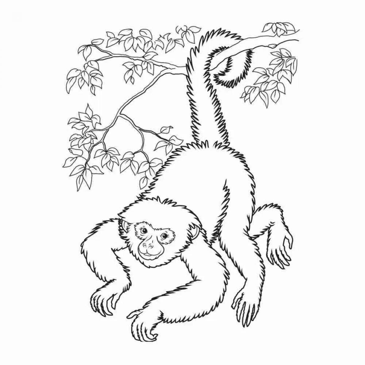 Раскраска сказочная обезьяна житкова