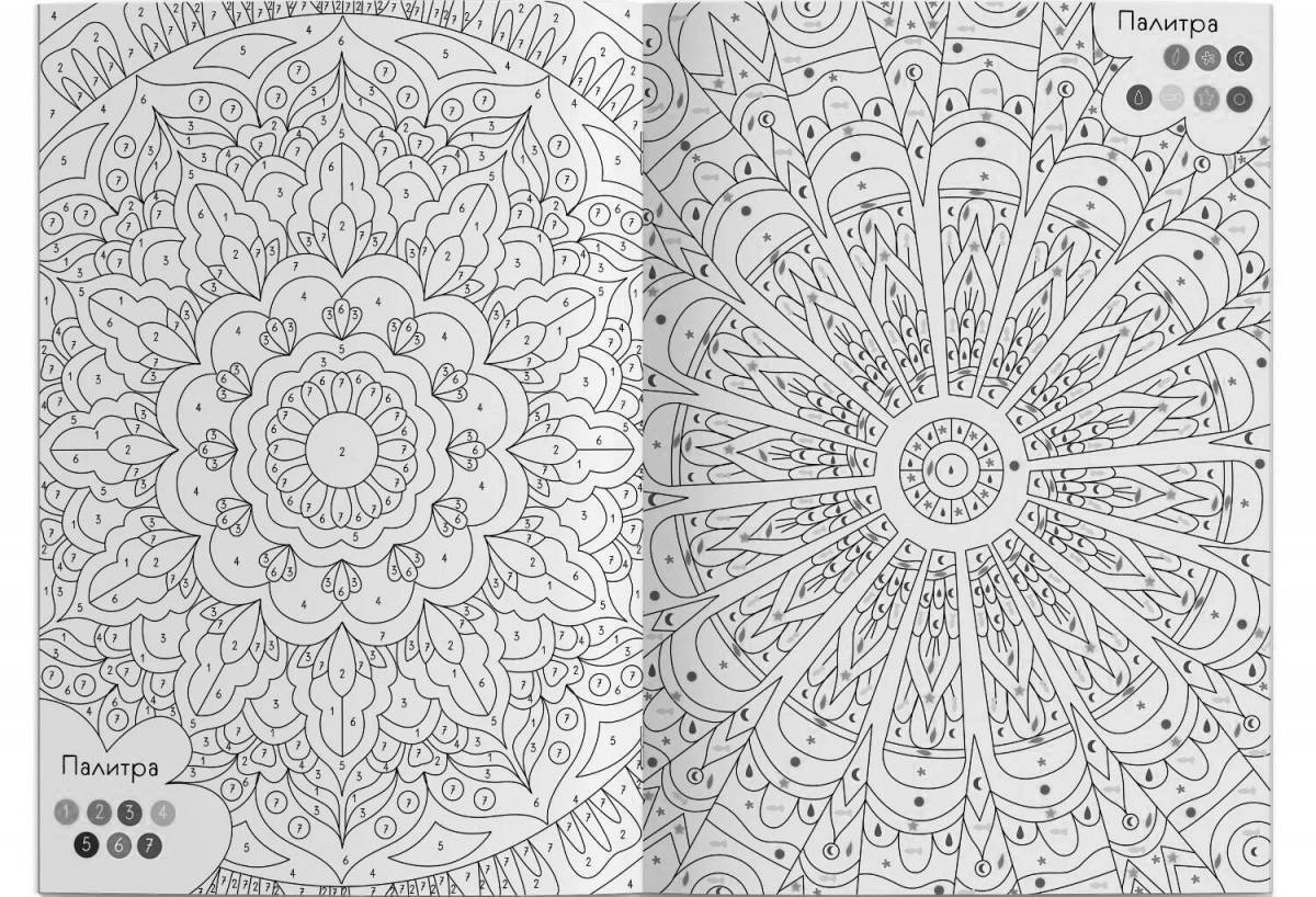 Mystical coloring by numbers mandala