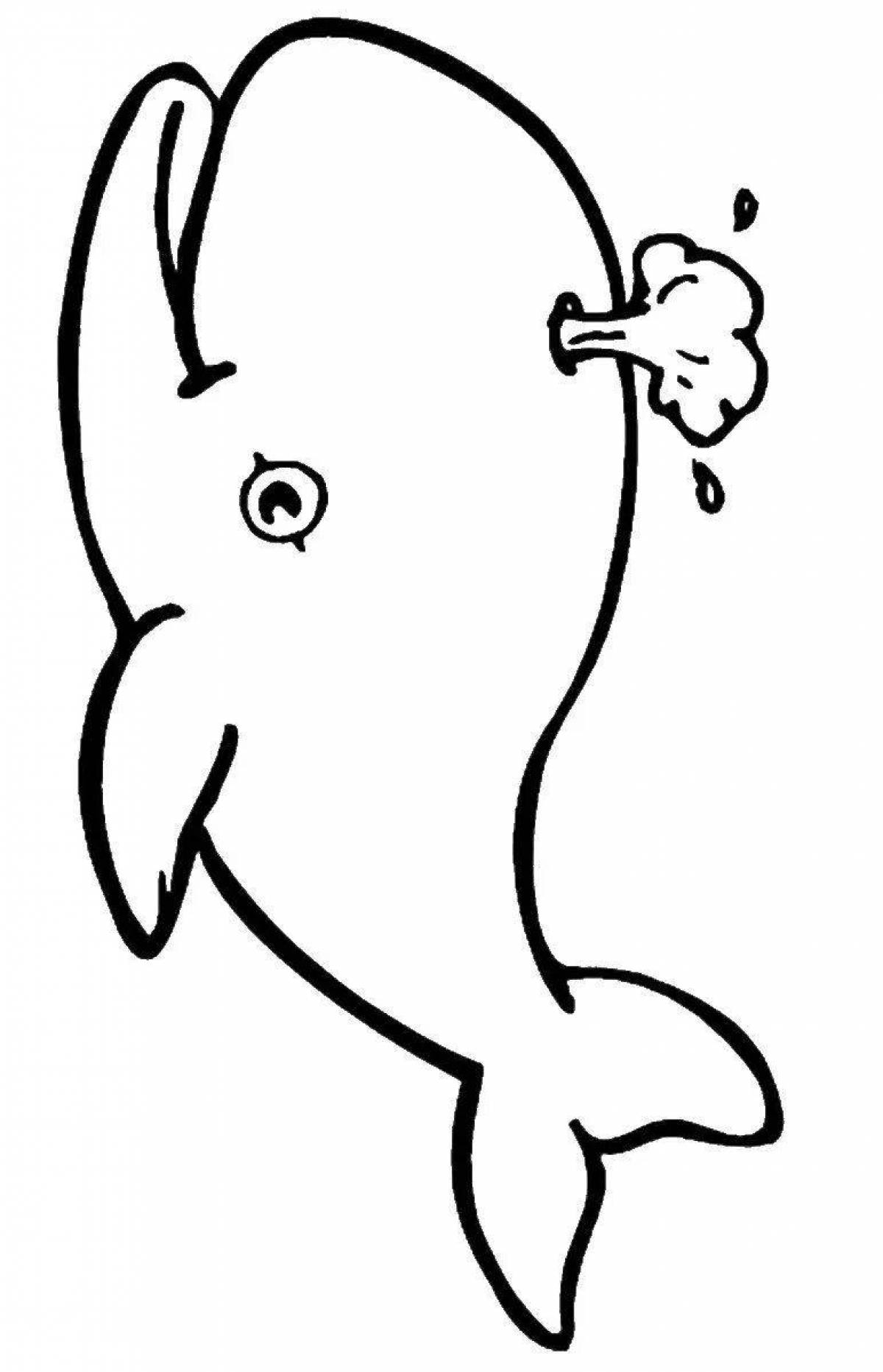 Colorful white dolphin coloring book