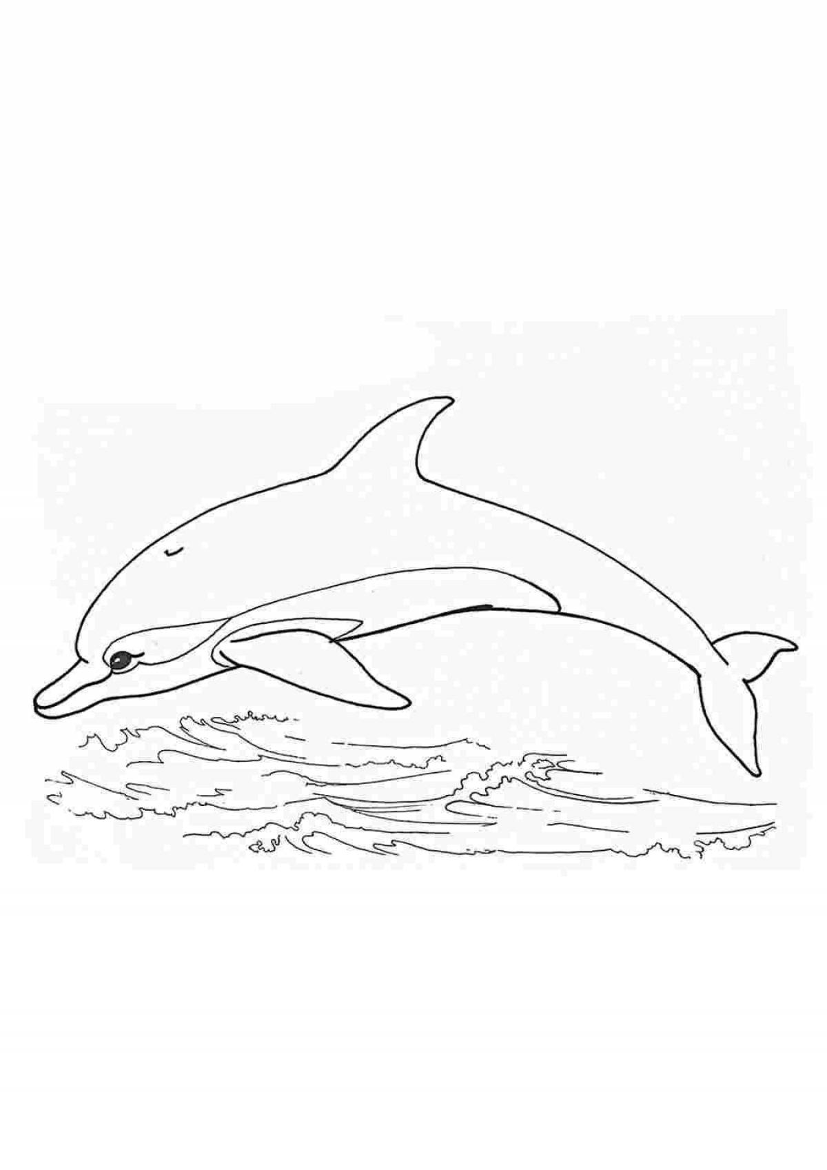 Чудесный белый дельфин раскраска