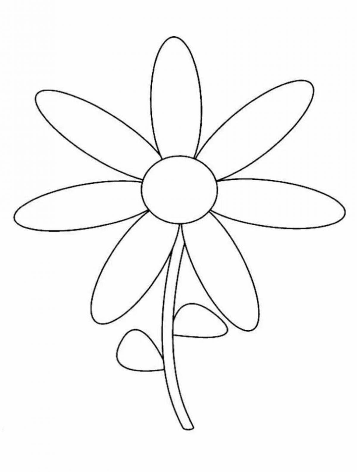 Яркая раскраска цветок семицветик