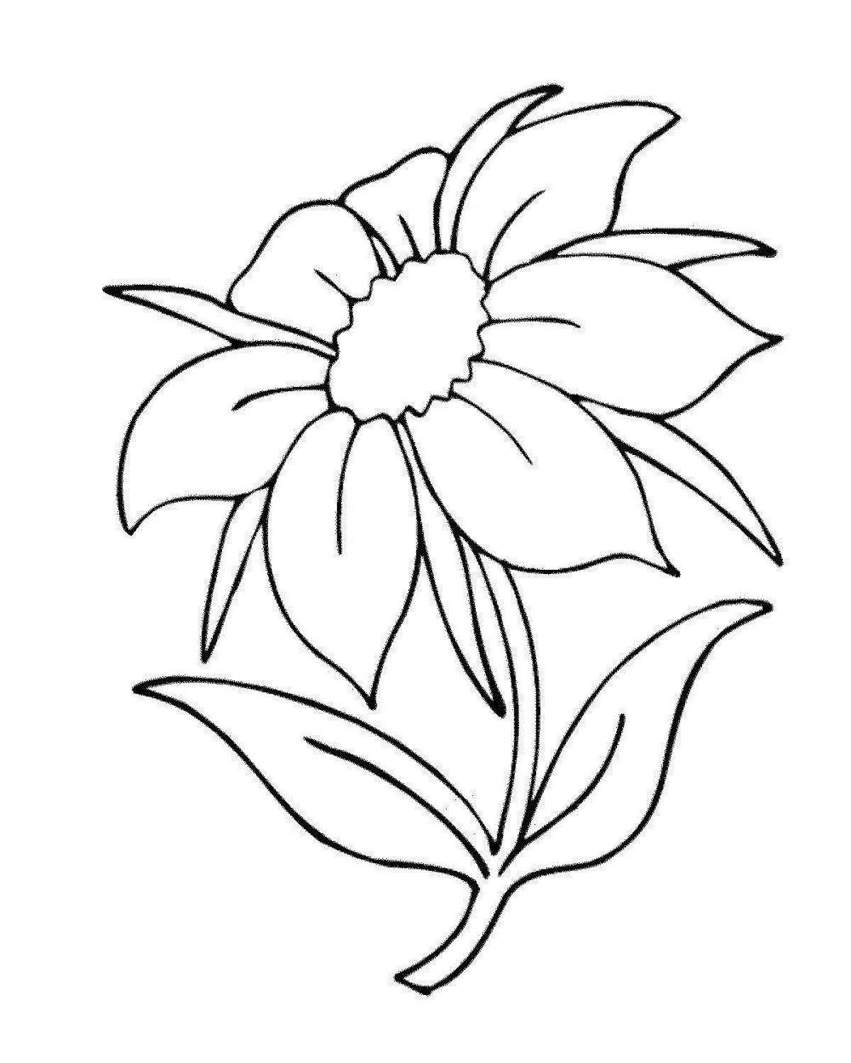Очаровательная раскраска цветок семицветик