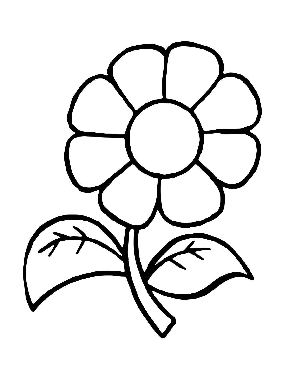 Awesome seven-flower coloring book