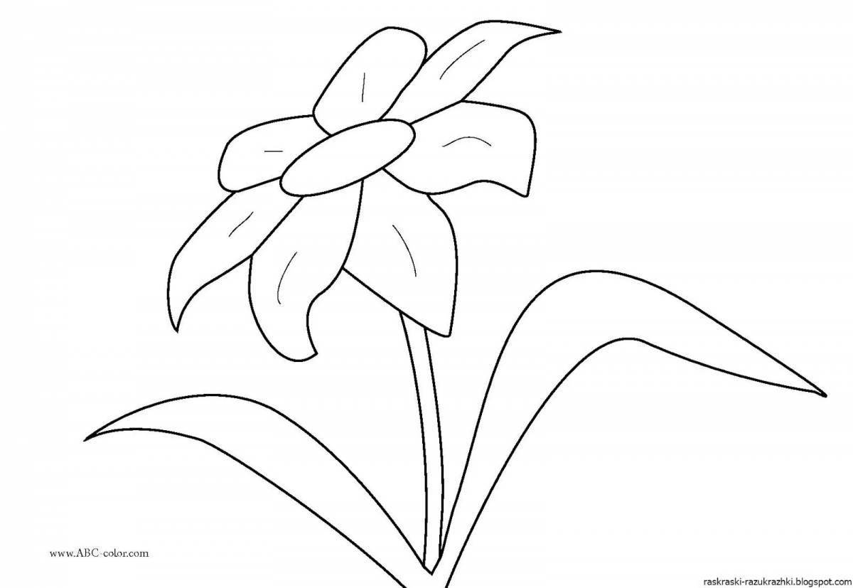 Причудливая раскраска цветок семицветик