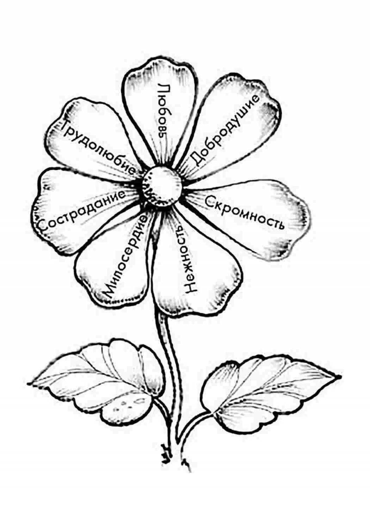 Манящая раскраска цветок семицветик