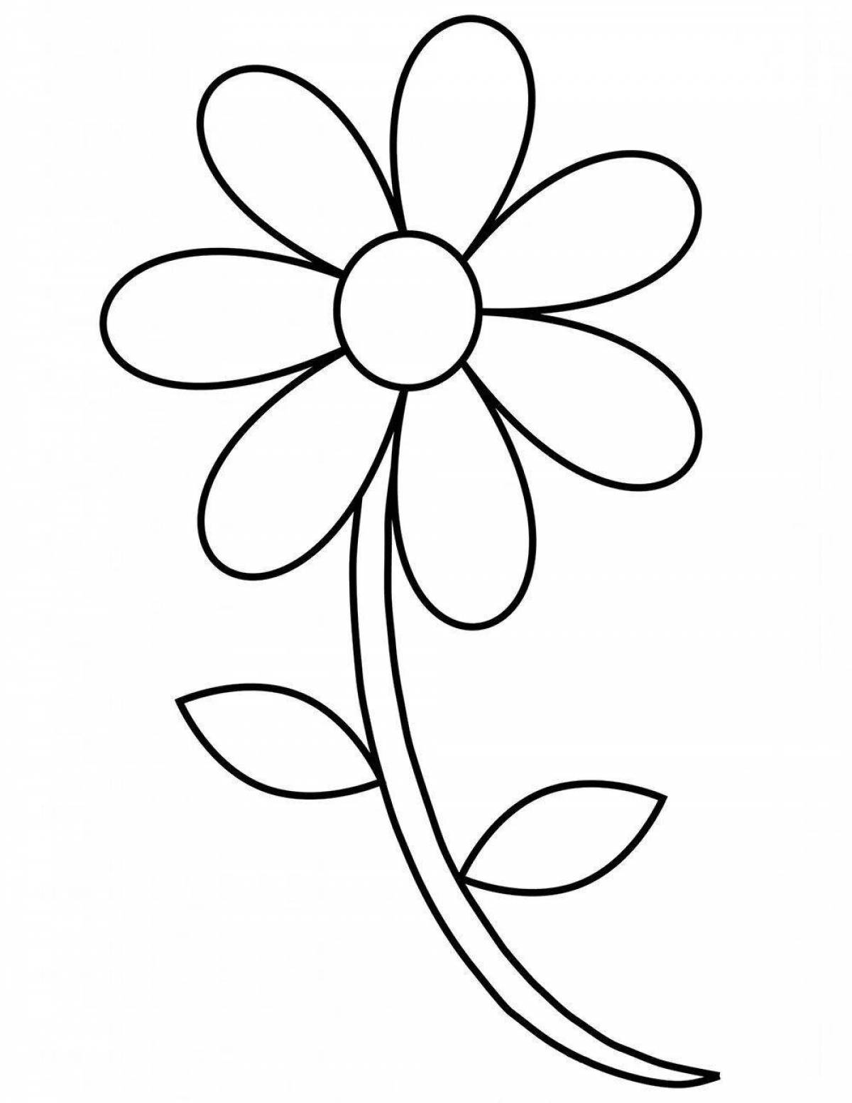 Увлекательная раскраска цветок семицветик