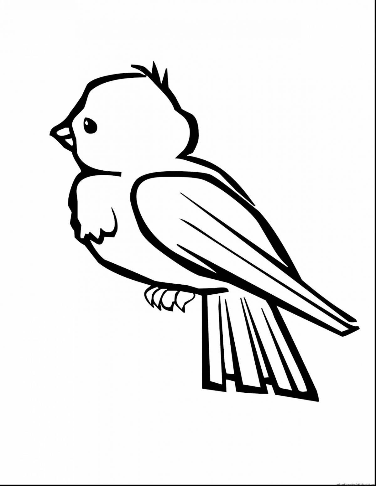 Colouring bright sparrow for children