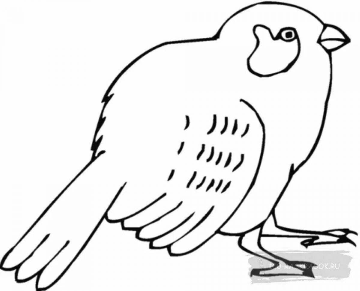 Playful sparrow coloring page for kids