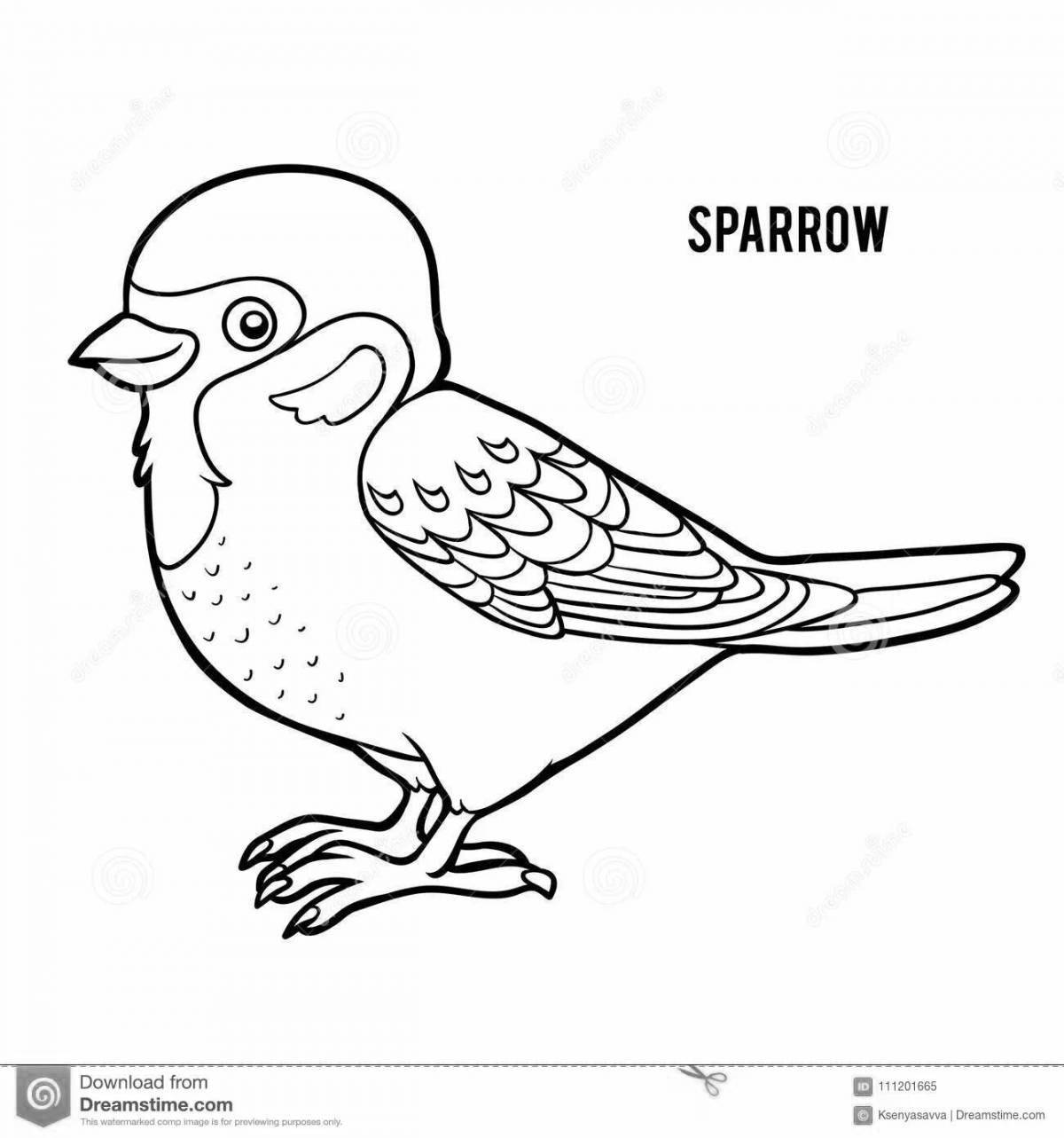 Coloring cute sparrow for kids