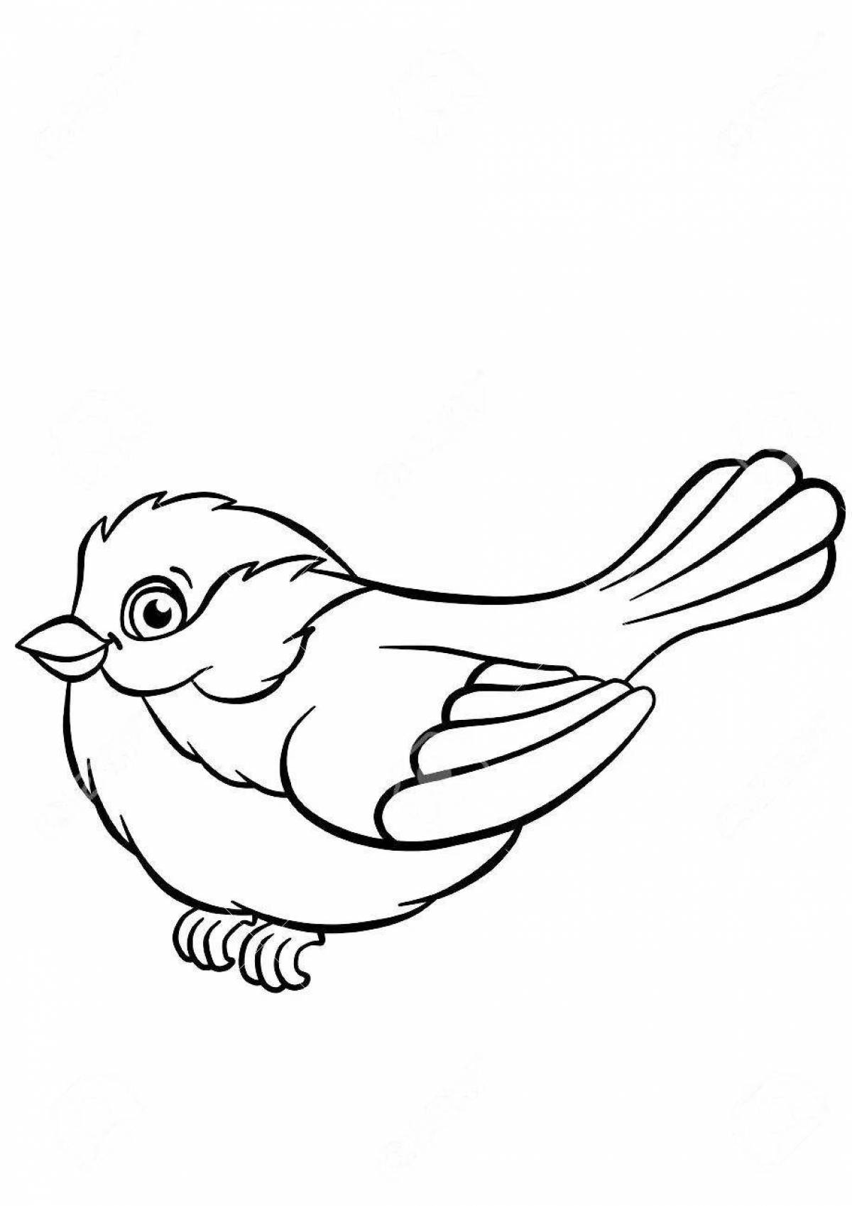 Cute sparrow coloring pages for kids