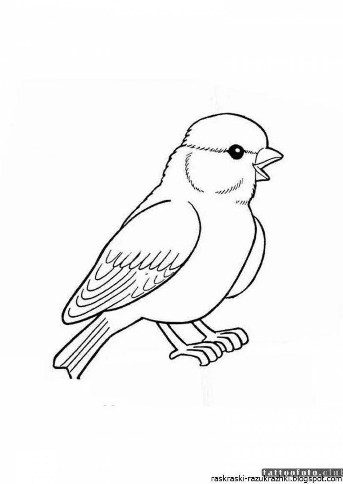 Sparkling sparrow coloring book for kids