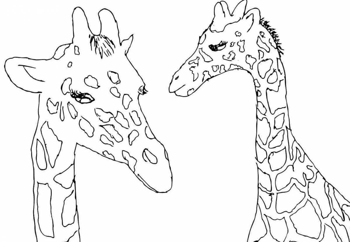Gorgeous giraffe adopt mi ​​coloring page