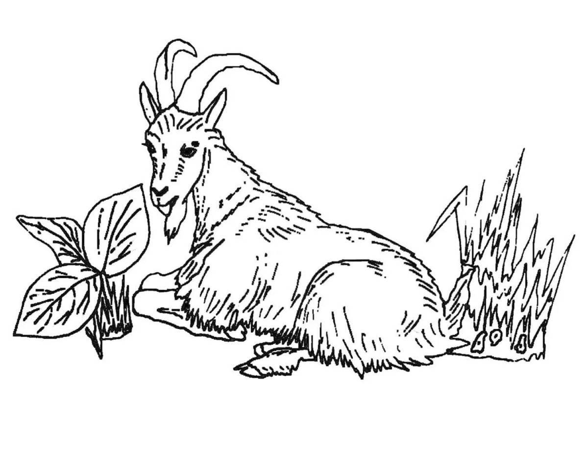 Holiday goat coloring book for kids