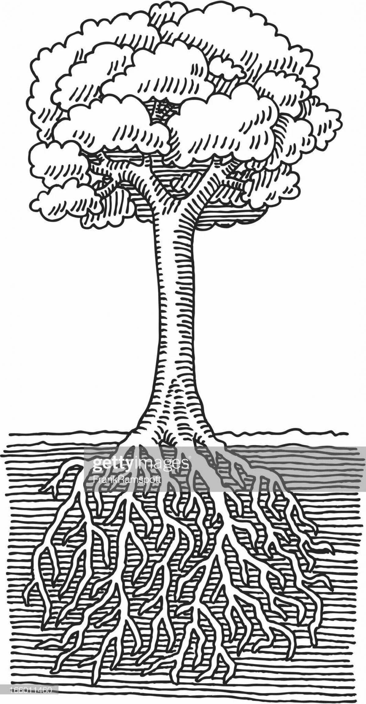 Буйное дерево раскраски с корнями