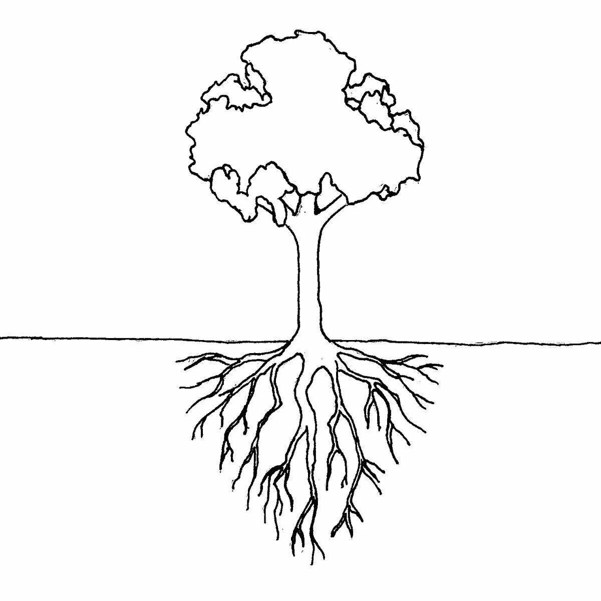 Раскраска царственное дерево с корнями