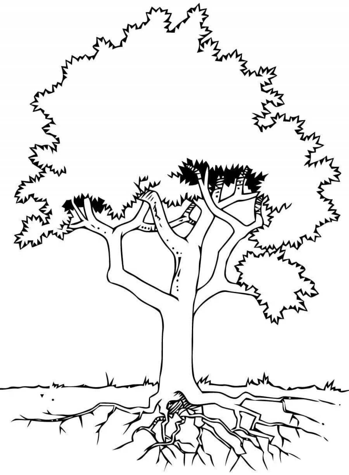 Дерево с корнями #3