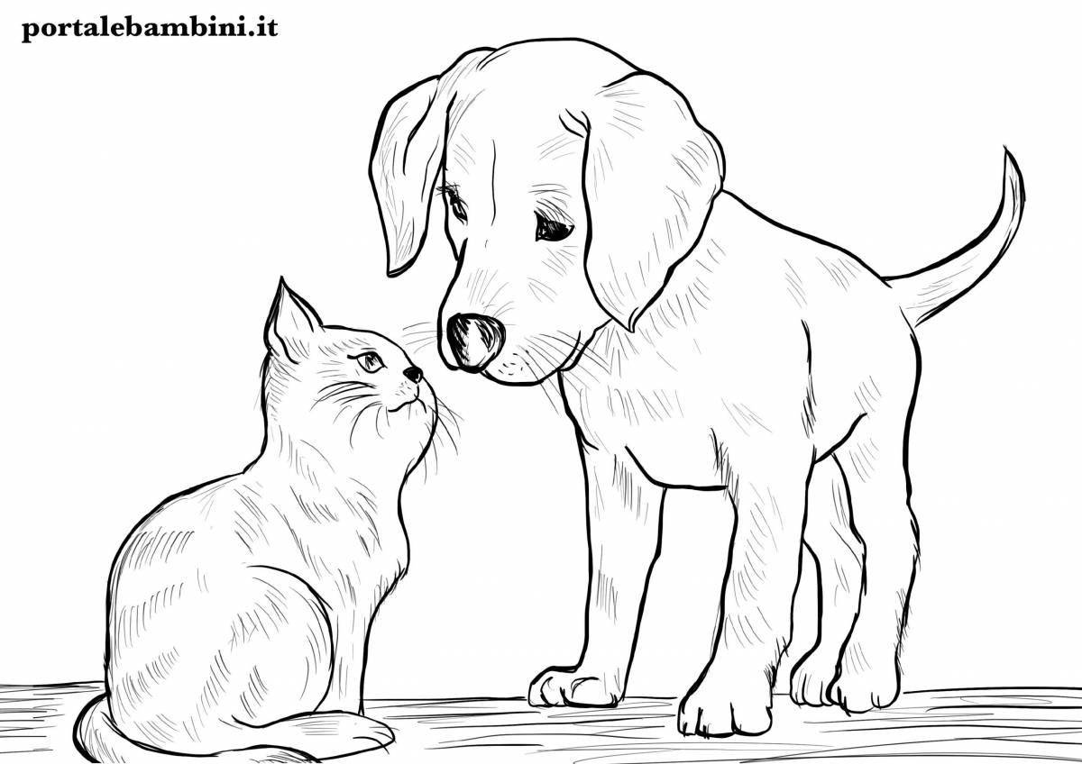 Dan kitty and dogs lovely coloring book