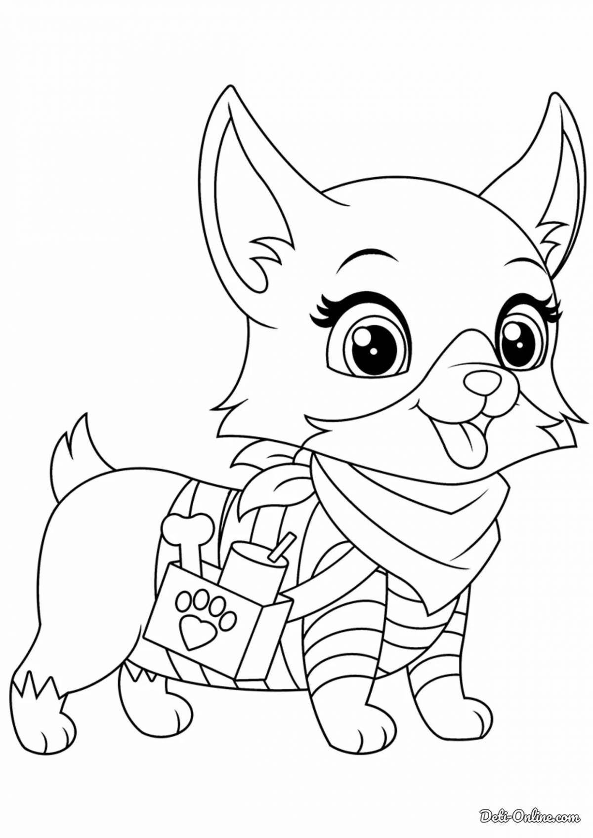 Dan kitty and dogs funny coloring book