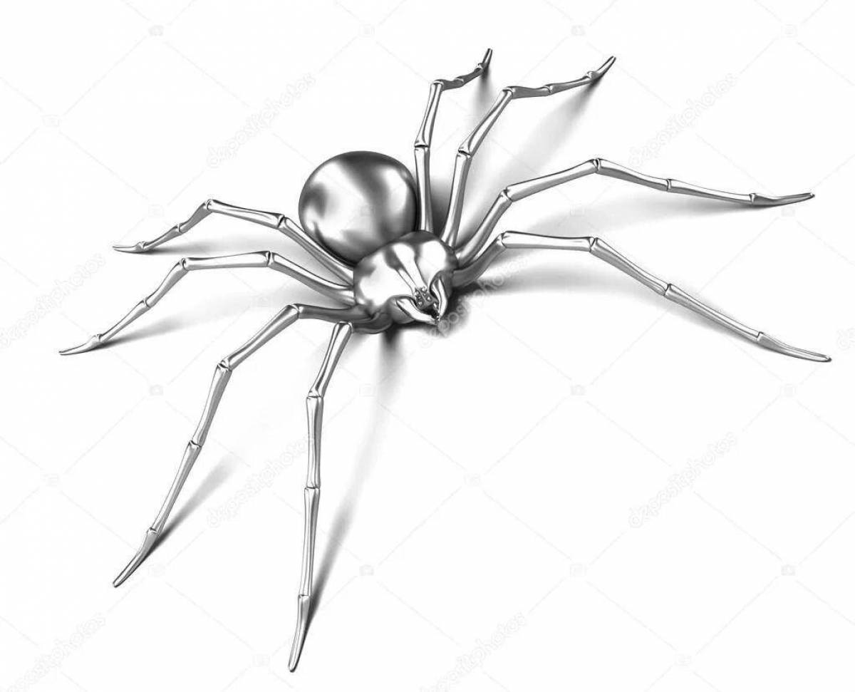 Radiant coloring black widow spider