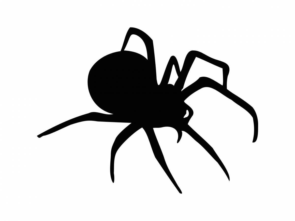 Black widow spider elegant coloring page