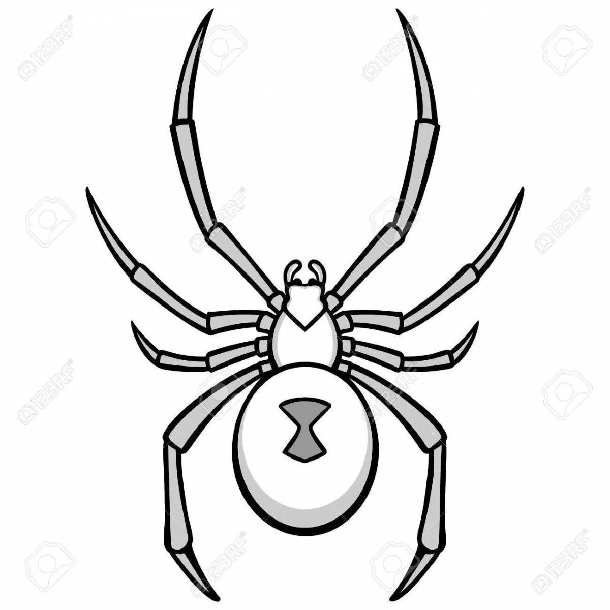 Detailed black widow spider coloring page
