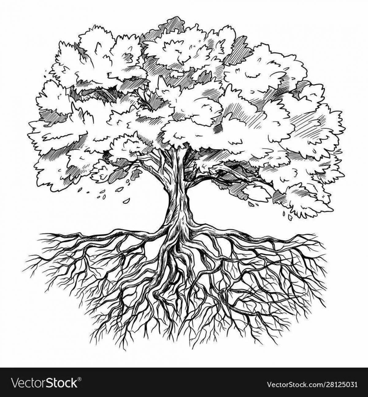 Дерево с корнями контур