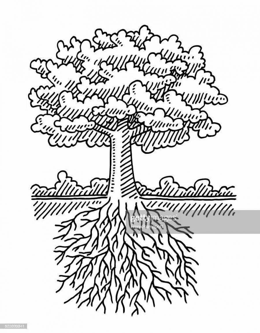 Раскраска дерево с кроной и с корнями