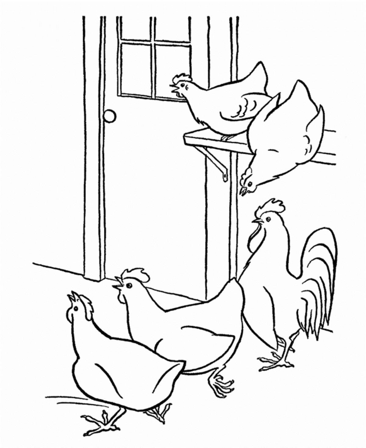 Great chicken coop coloring book for kids