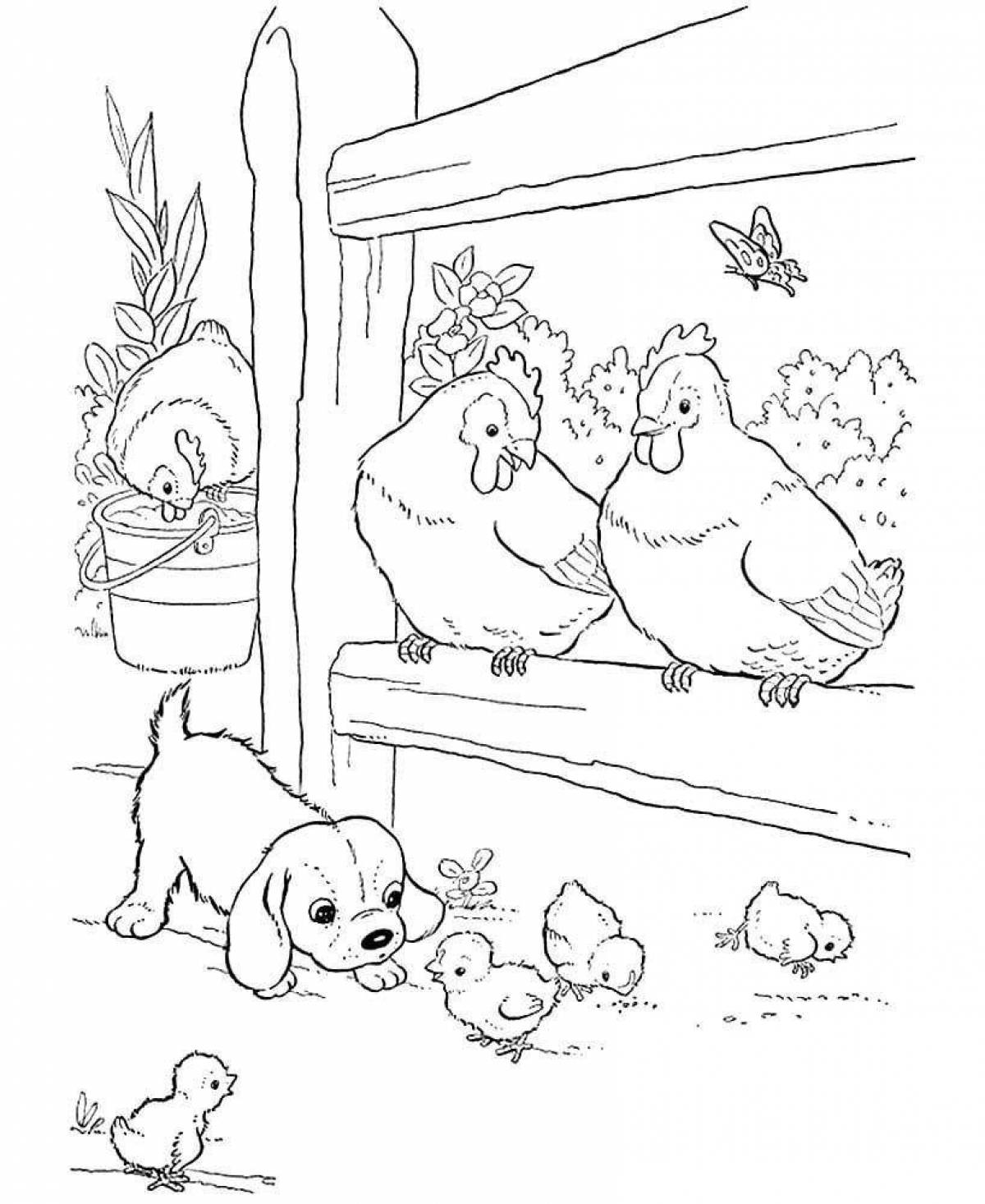 Gorgeous chicken coop coloring page for preschoolers