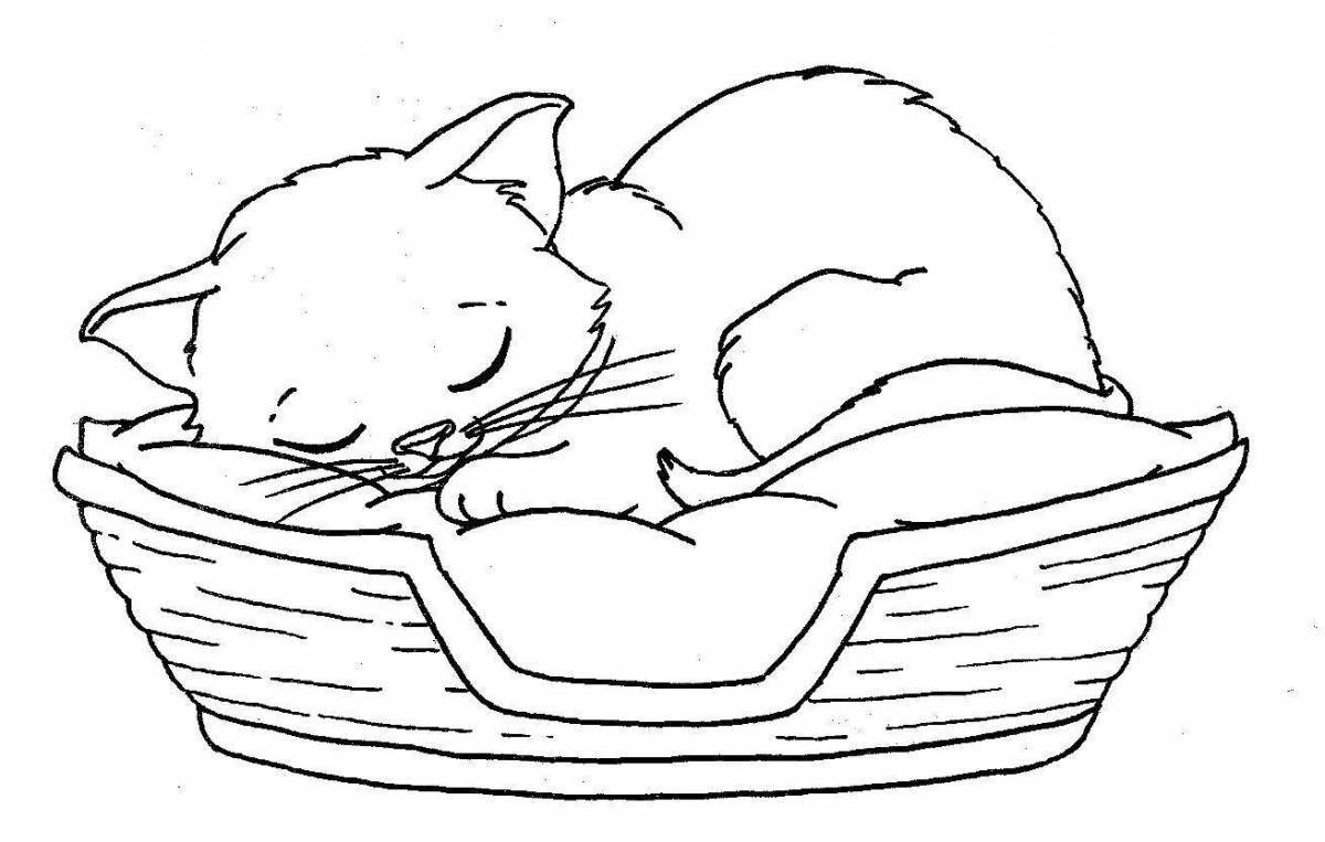 Раскраска игривый кот в корзине