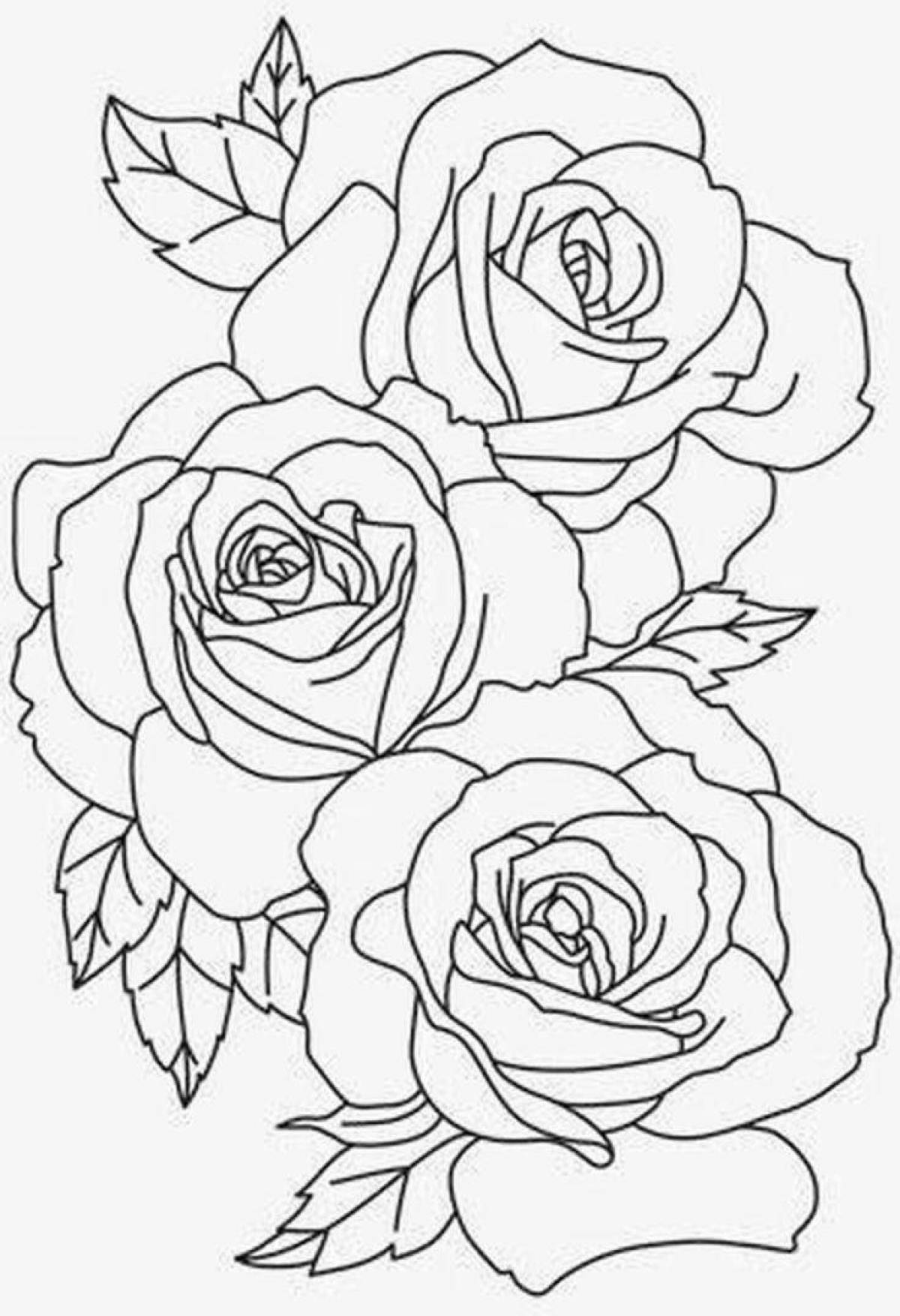 Яркие раскраски розы по номерам
