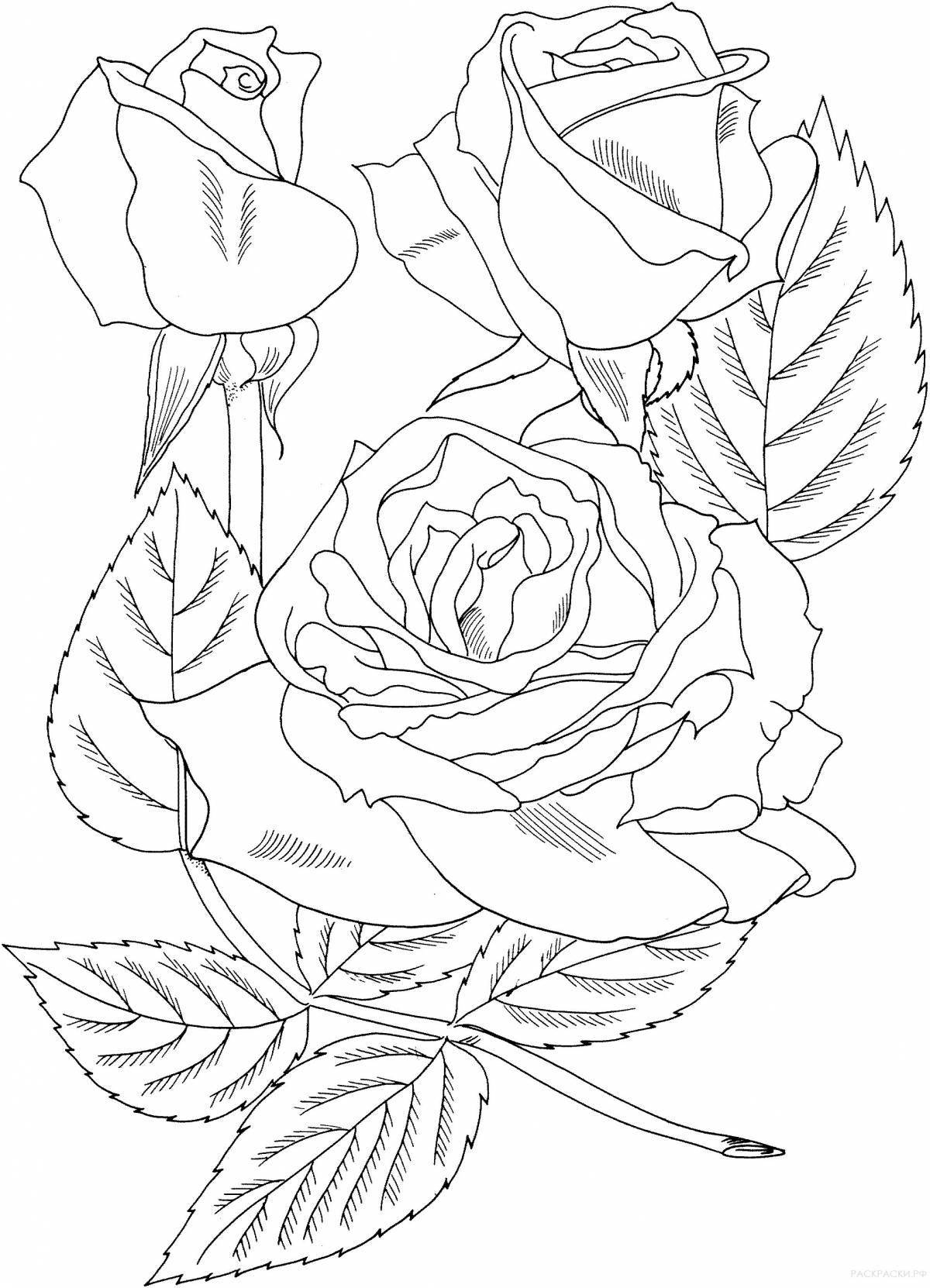 Bright rose coloring by numbers