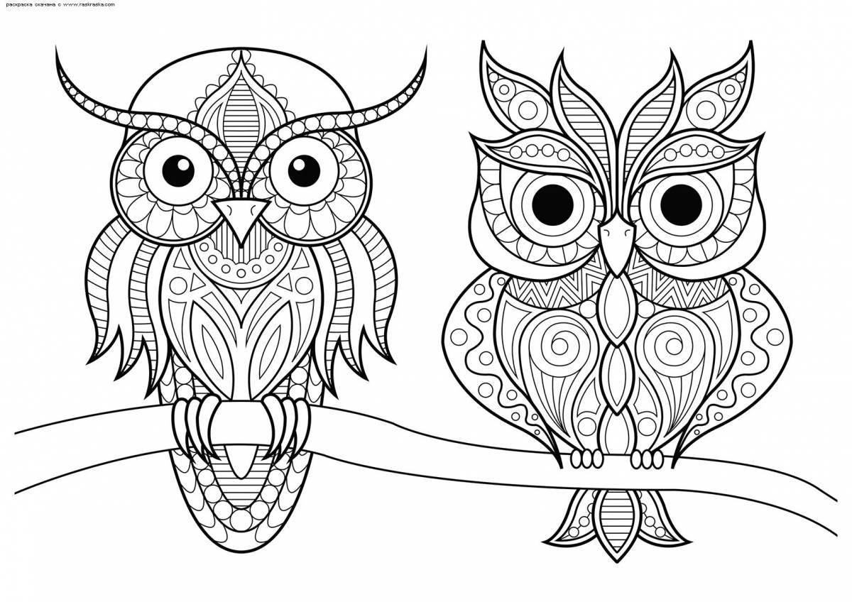 Playful owl coloring for girls