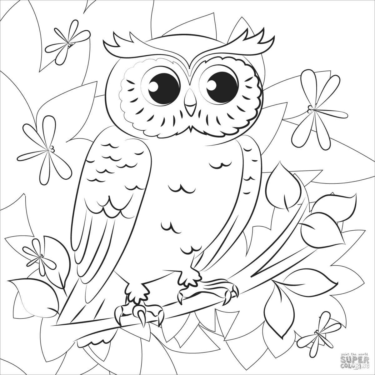 Cute owl coloring book for girls