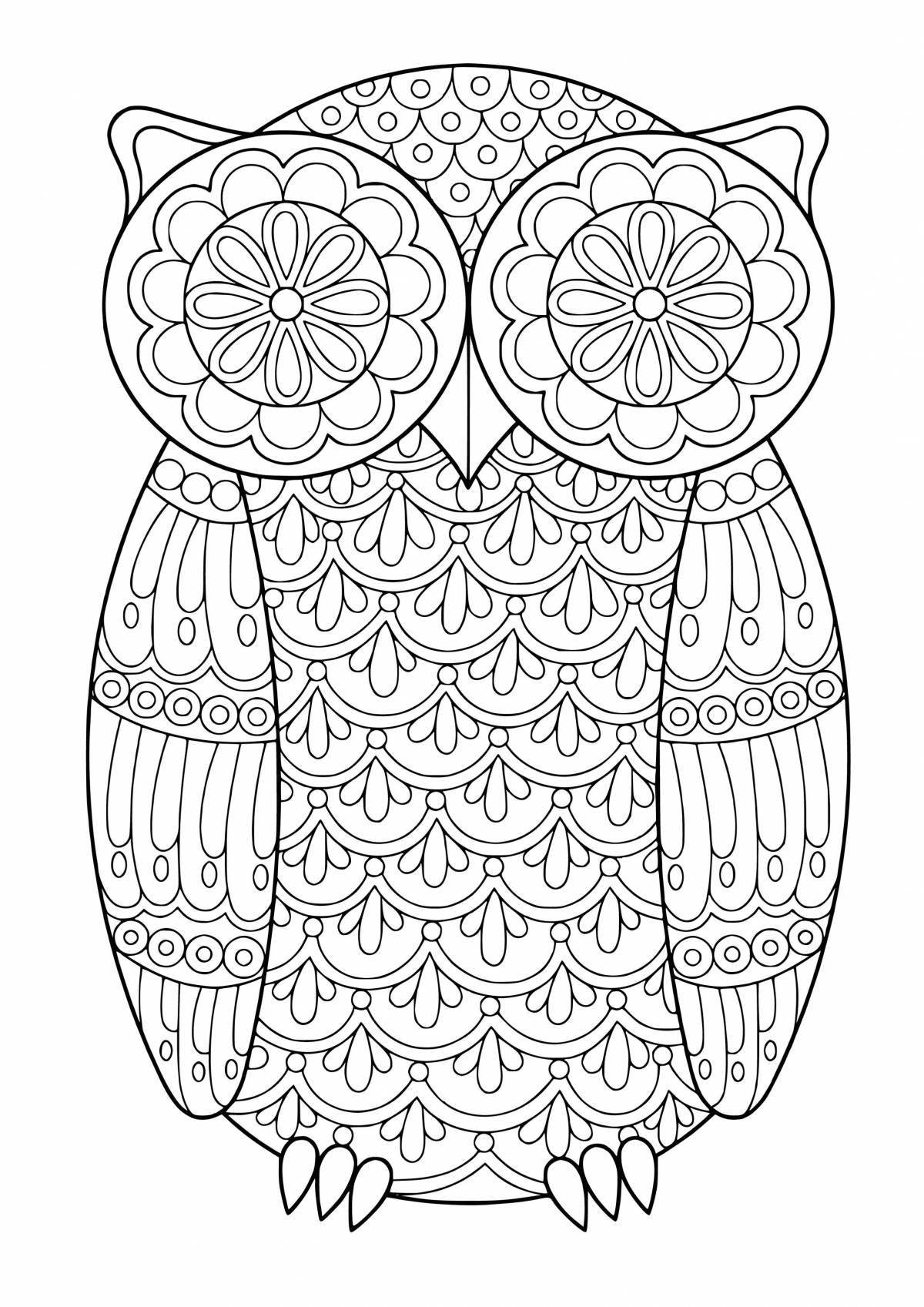 Funny owl coloring for girls