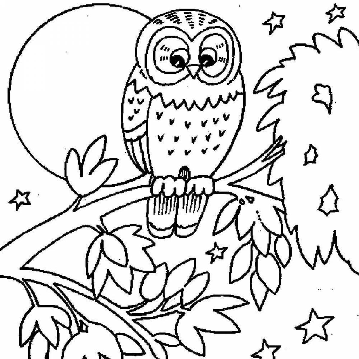 Radiant owl coloring for girls