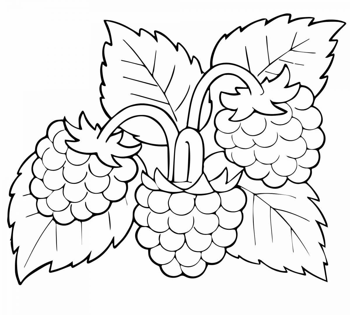 Amazing berries coloring book for kids