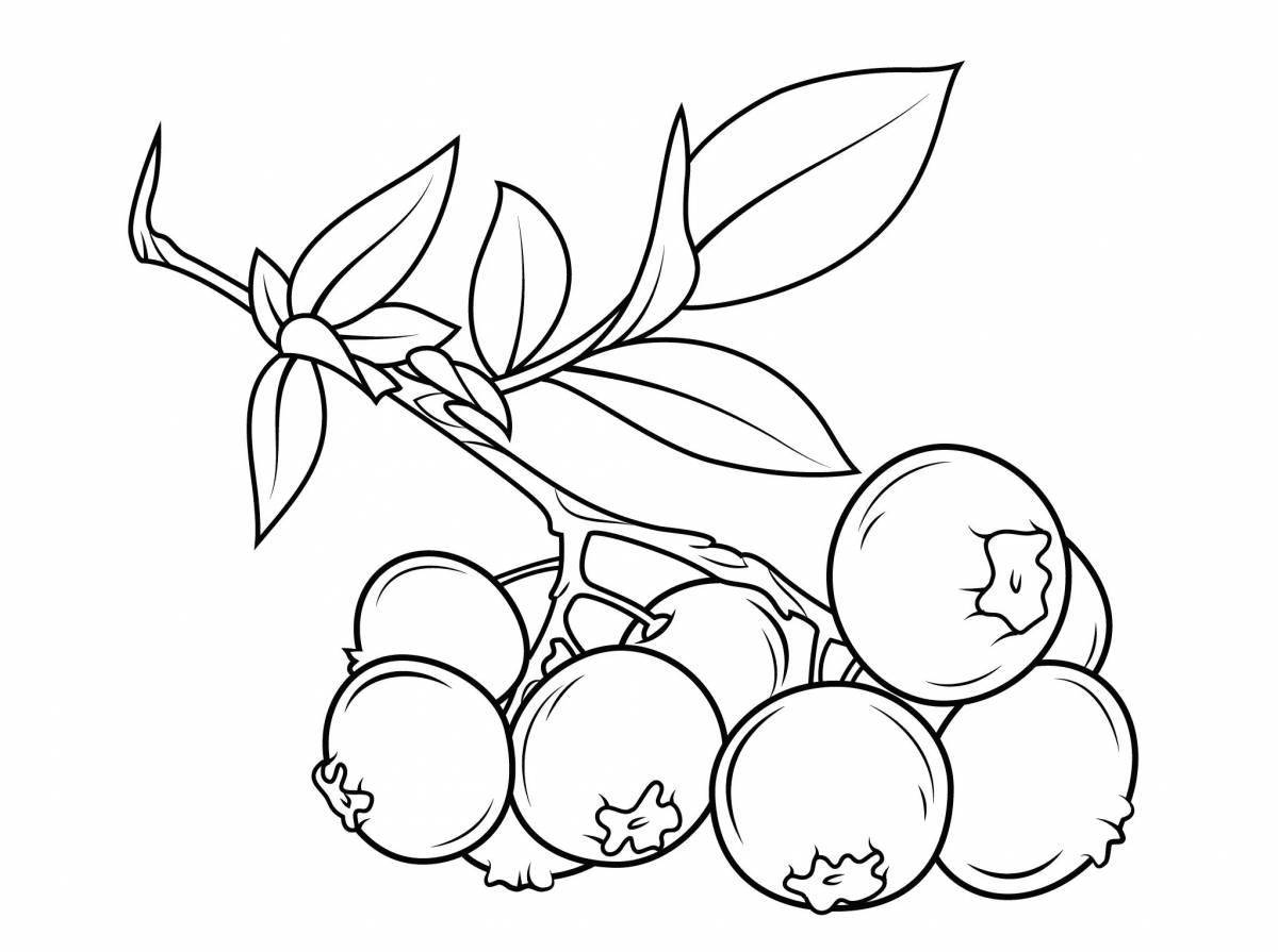 Cute berries coloring pages for kids