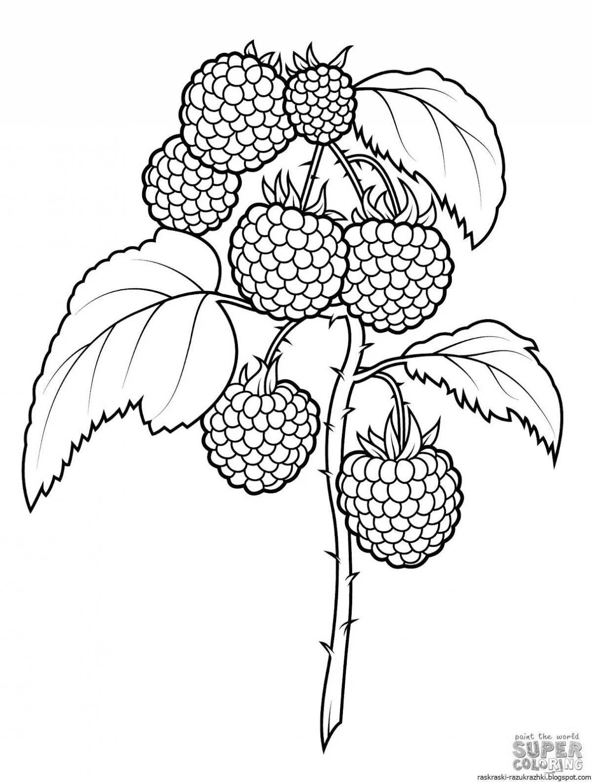 Coloring pages sweet berries for kids