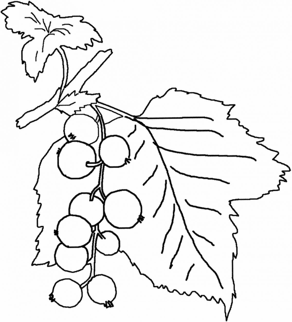 Amazing berry coloring pages for kids