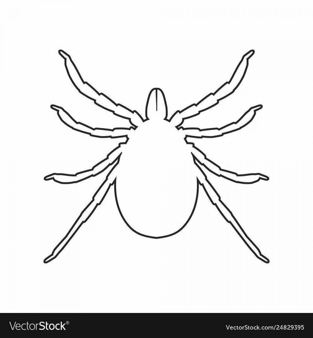 Colorful tick coloring page for kids