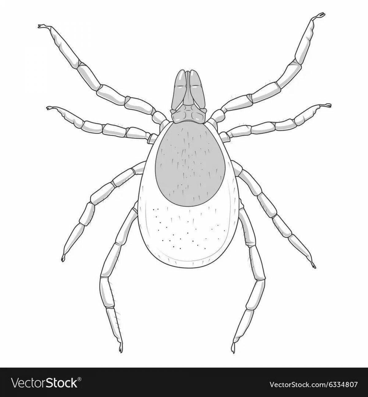 Colorful tick coloring page for toddlers