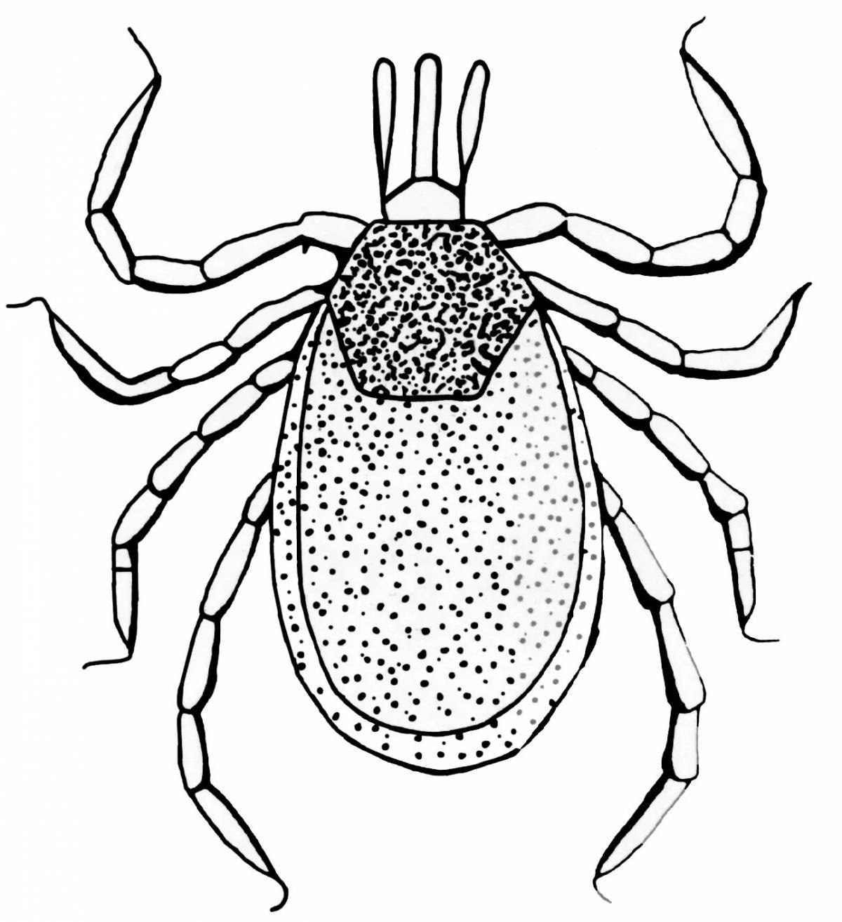 Color-crazy tick coloring page for kids