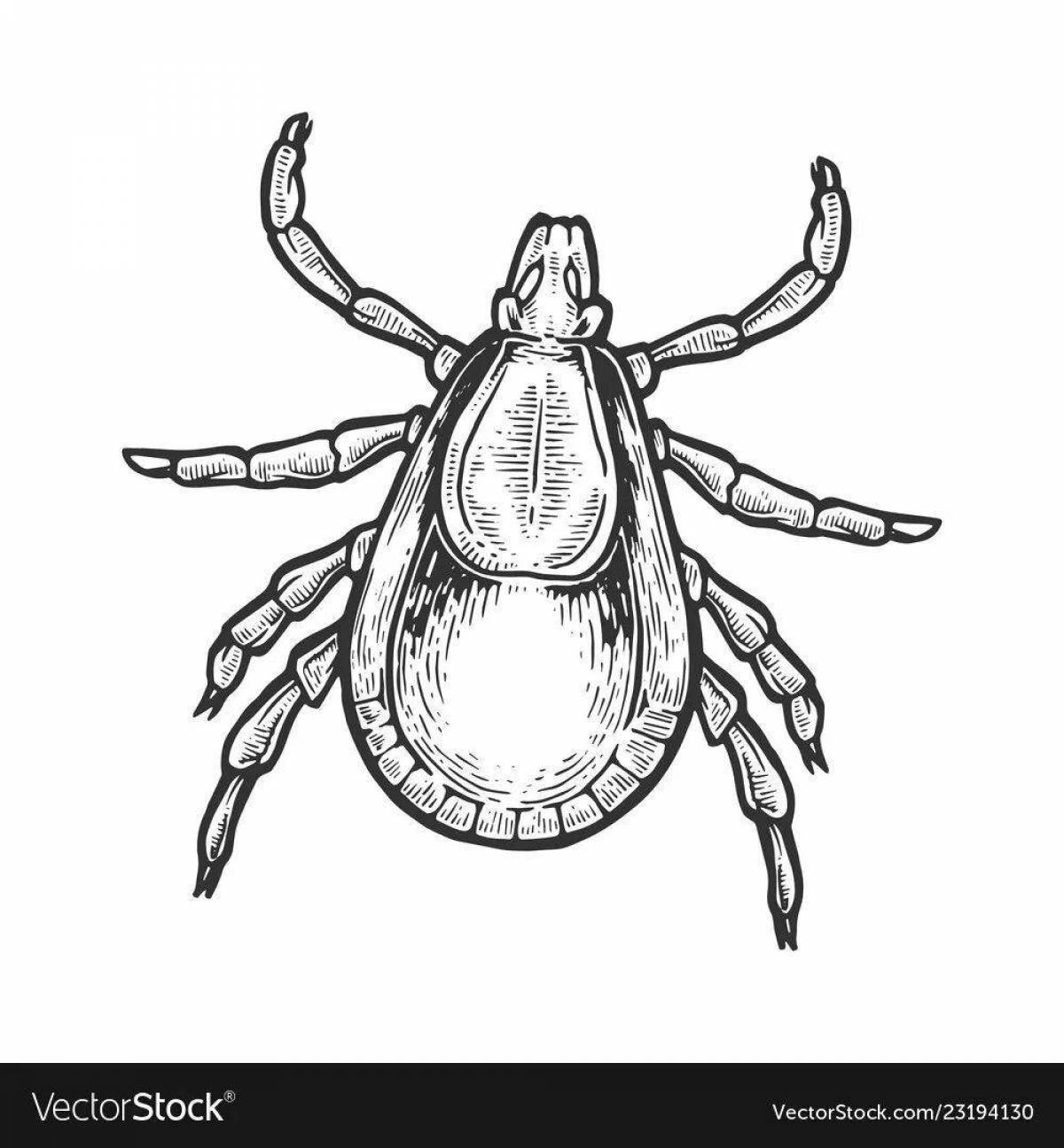 Colorful tick coloring page for the little ones