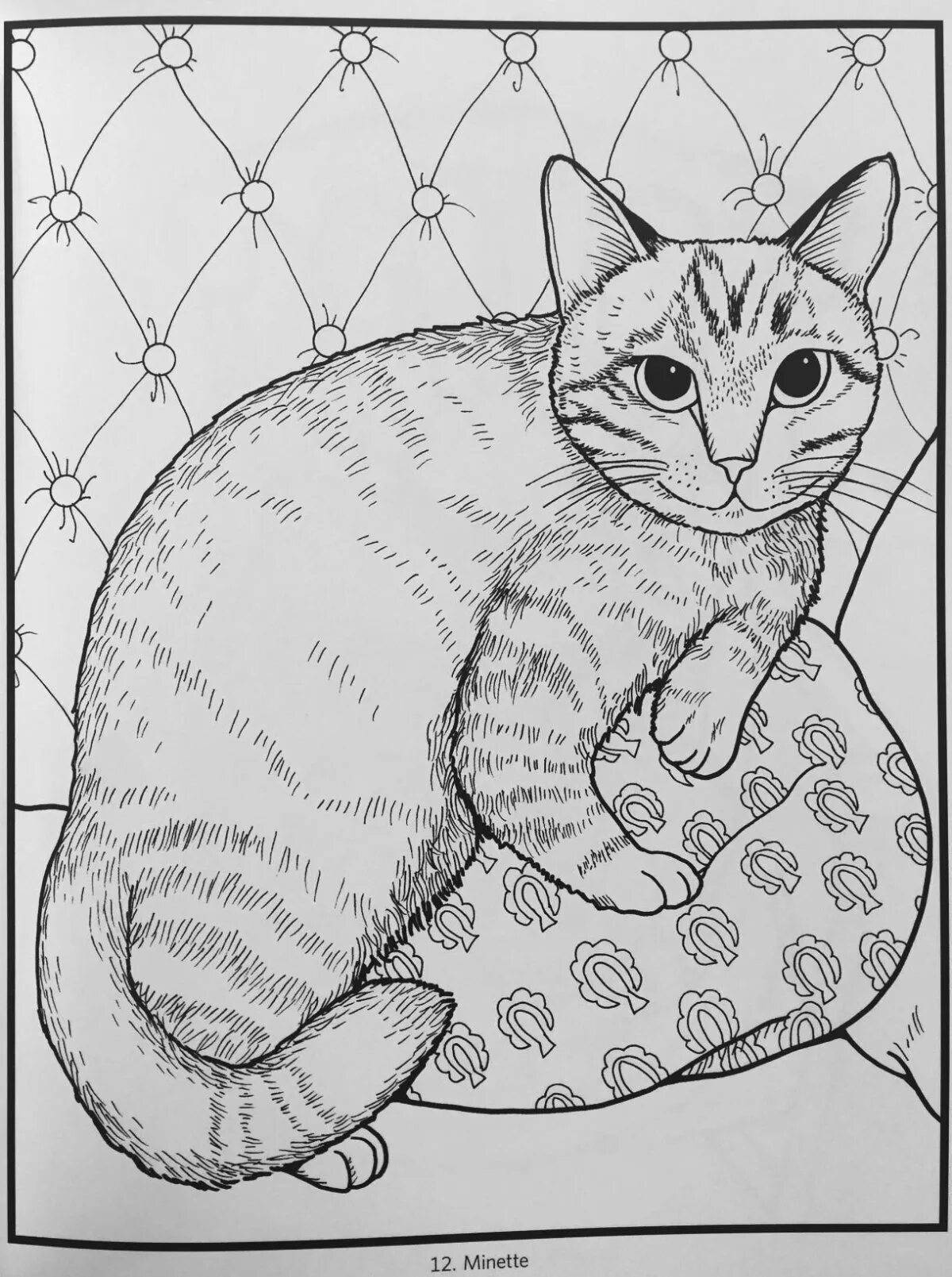 Cute kitten in the house coloring book