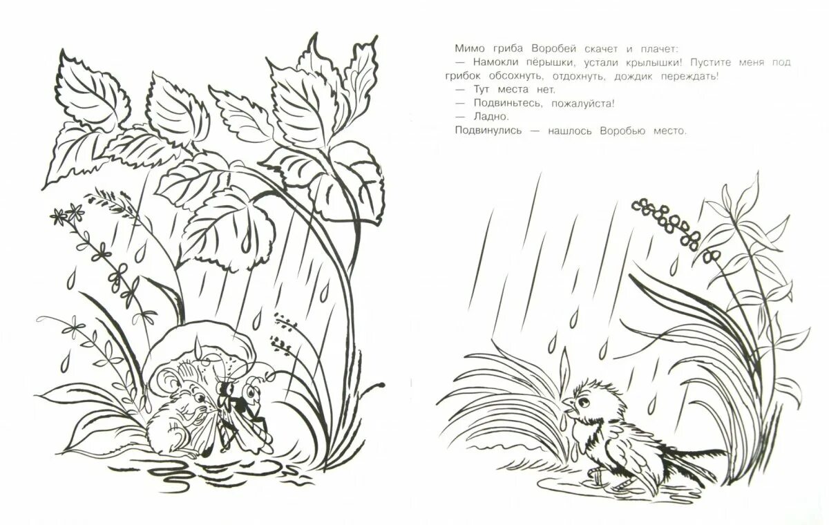 The first hunt of the dazzling bianca