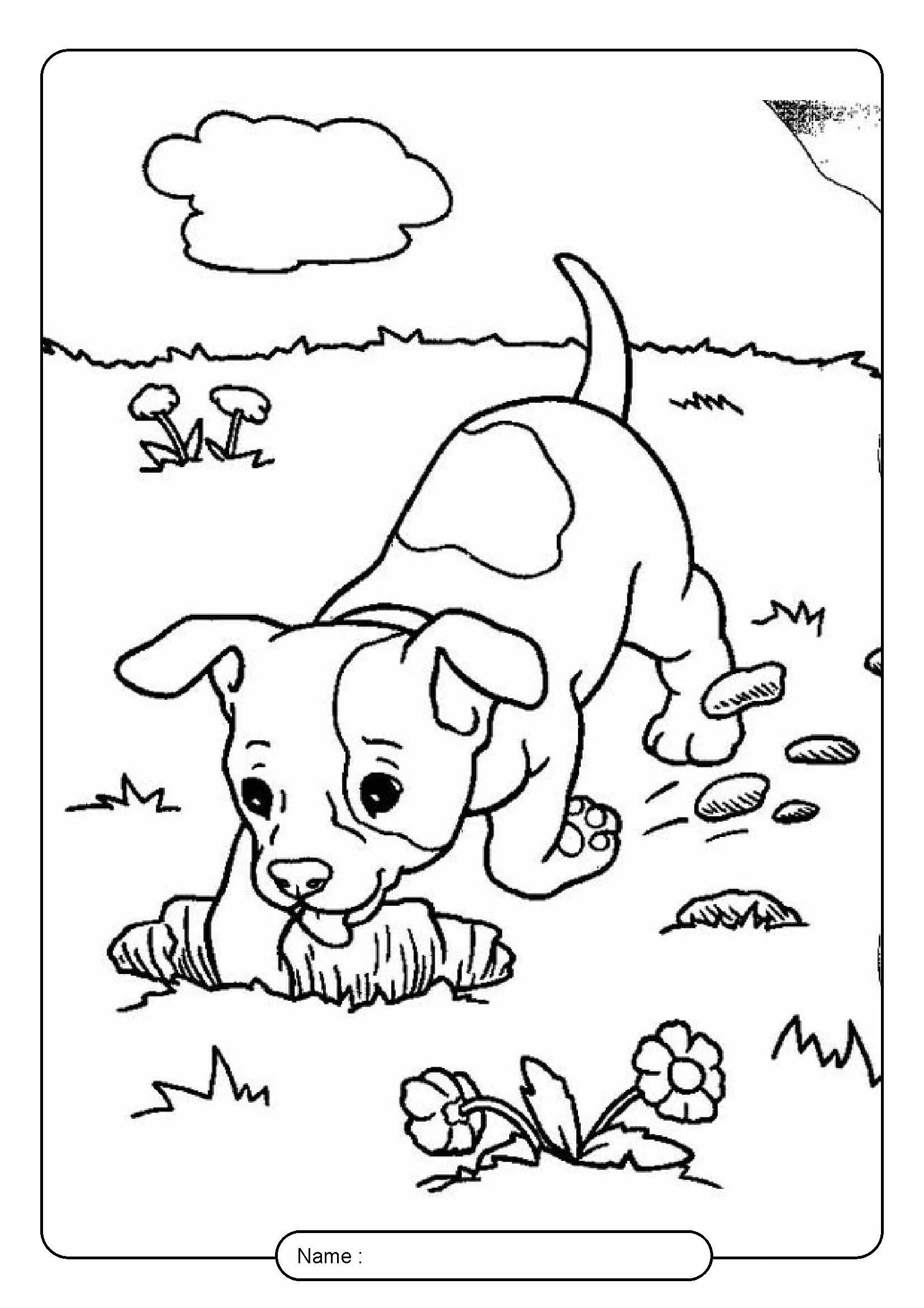 Bianca's spectacular first hunt